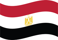 UAE Flag